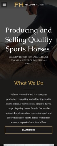 fellow horses procredible web design